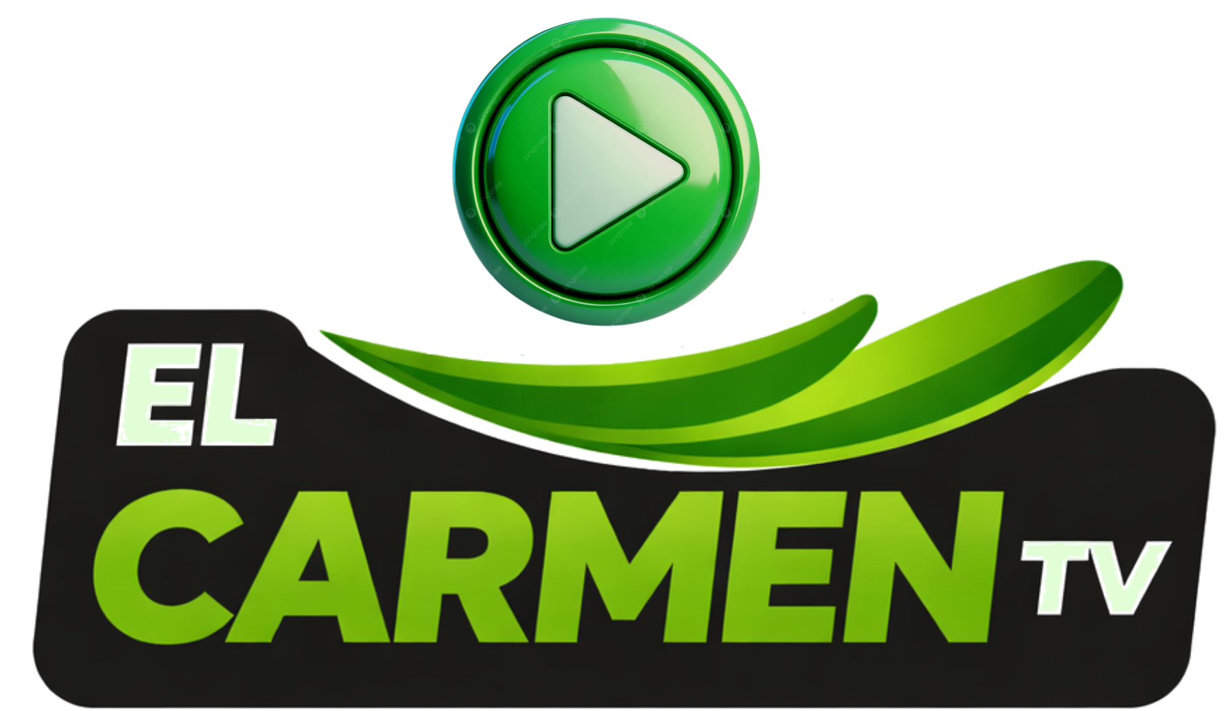 EL CARMEN TV